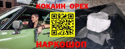 герыч Кингисепп